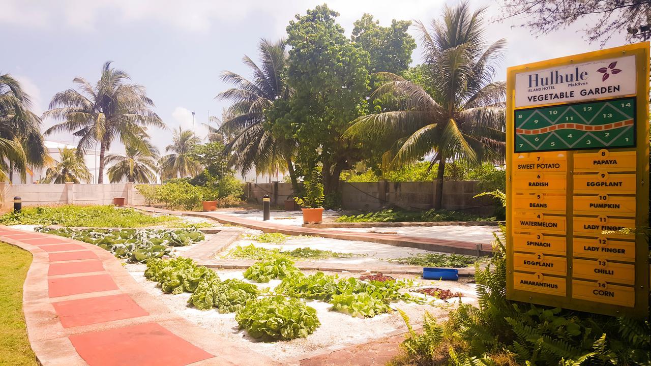 Hulhule Island Hotel Male Luaran gambar